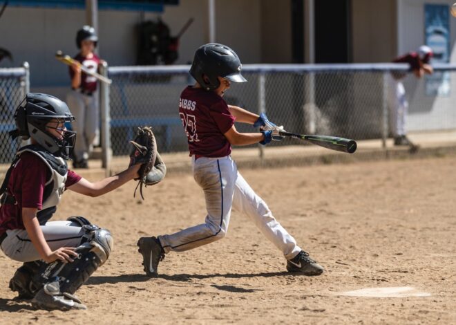 Pelajaran || Bisbol Dudes LLC