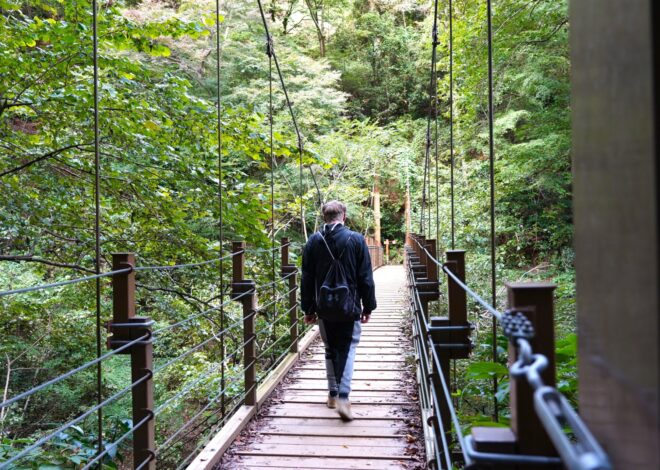 Day Trips from Hachioji: Mt. Fuji, Mt. Takao, and Lakes, Wrapped in Tradition