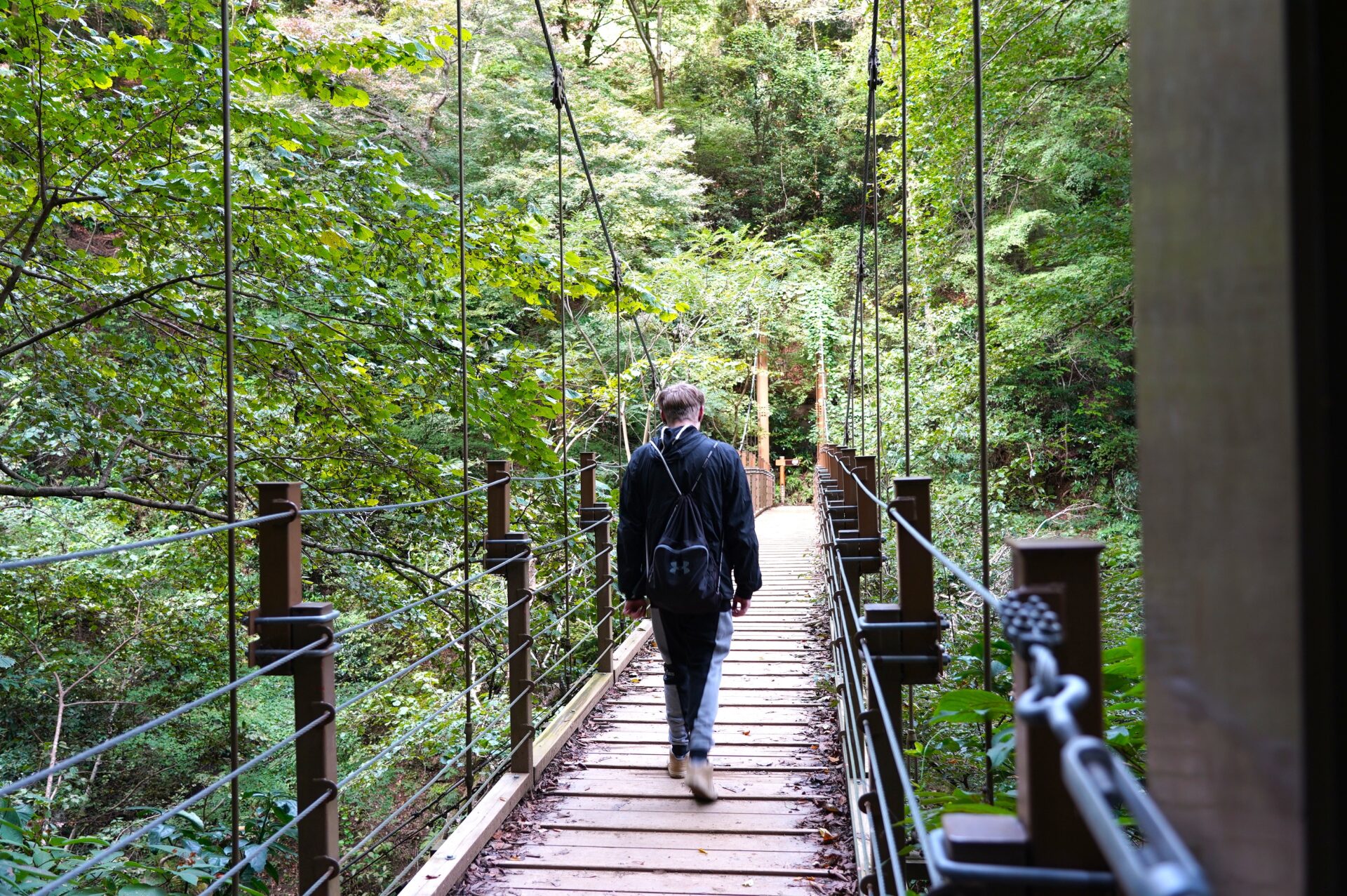 Day Trips from Hachioji: Mt. Fuji, Mt. Takao, and Lakes, Wrapped in Tradition